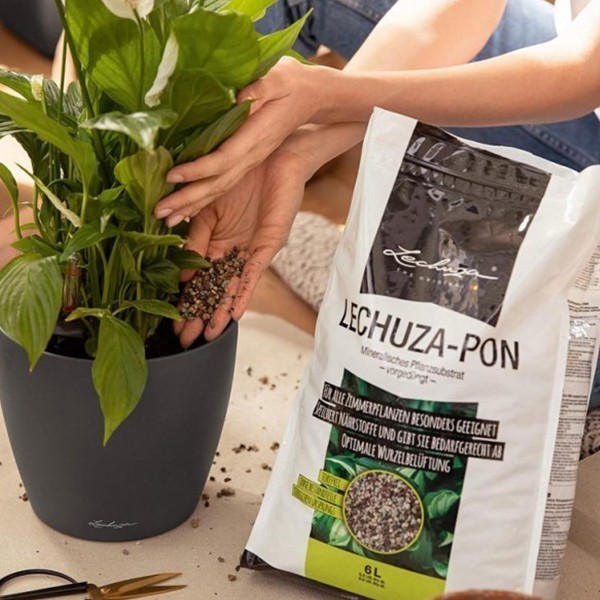 Субстрат Lechuza PON 6 л 19561