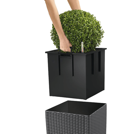 sistemyi-poliva_Lechuza