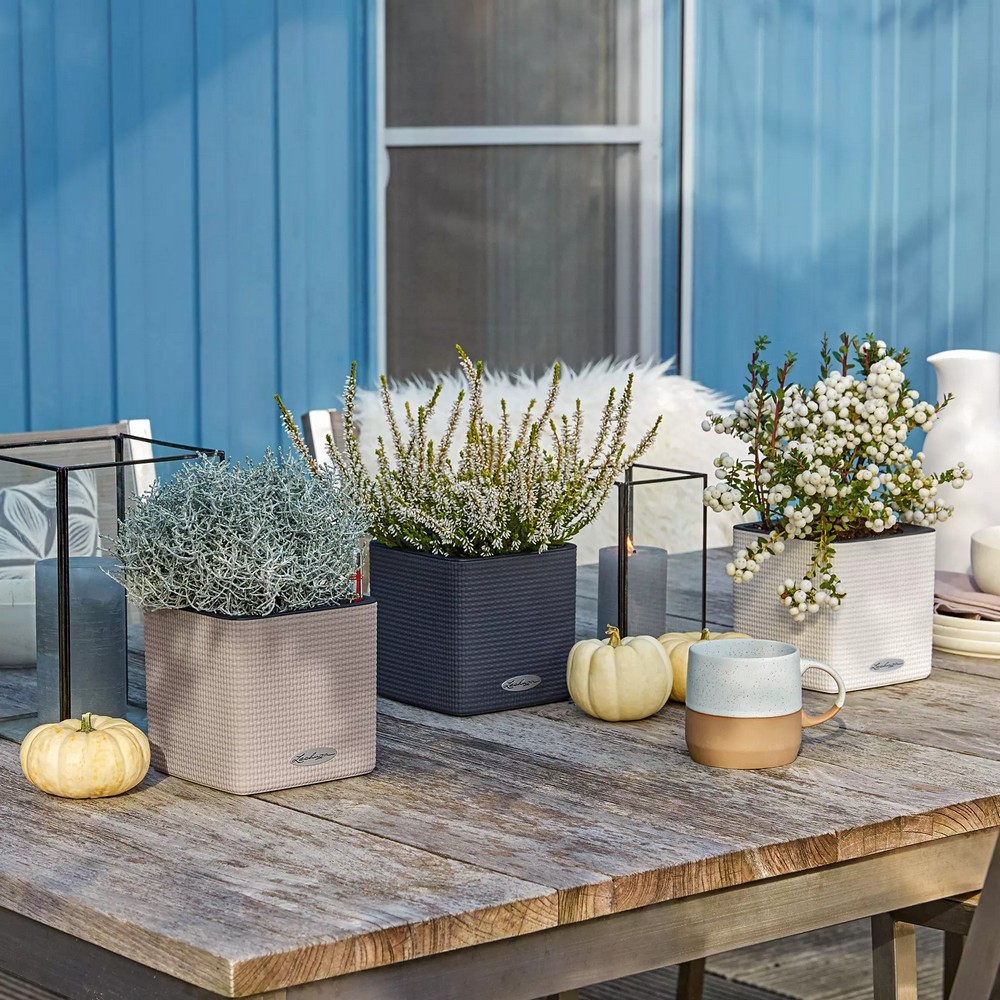 Розумний вазон Lechuza Cube Color 14 1 л пісочно-коричневий 13478