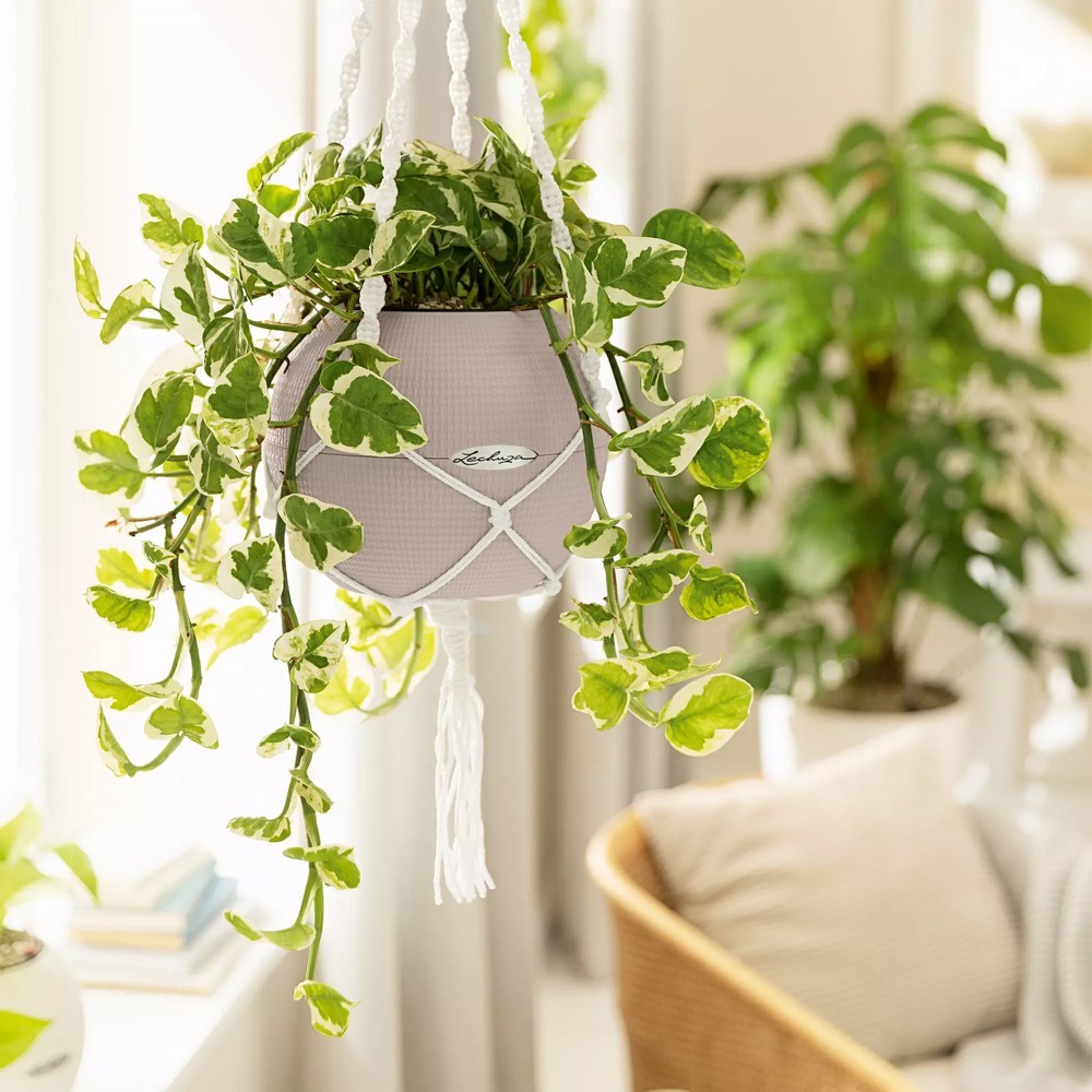 Розумний вазон Lechuza Puro Color 20 1,2 л помаранчевий 13374