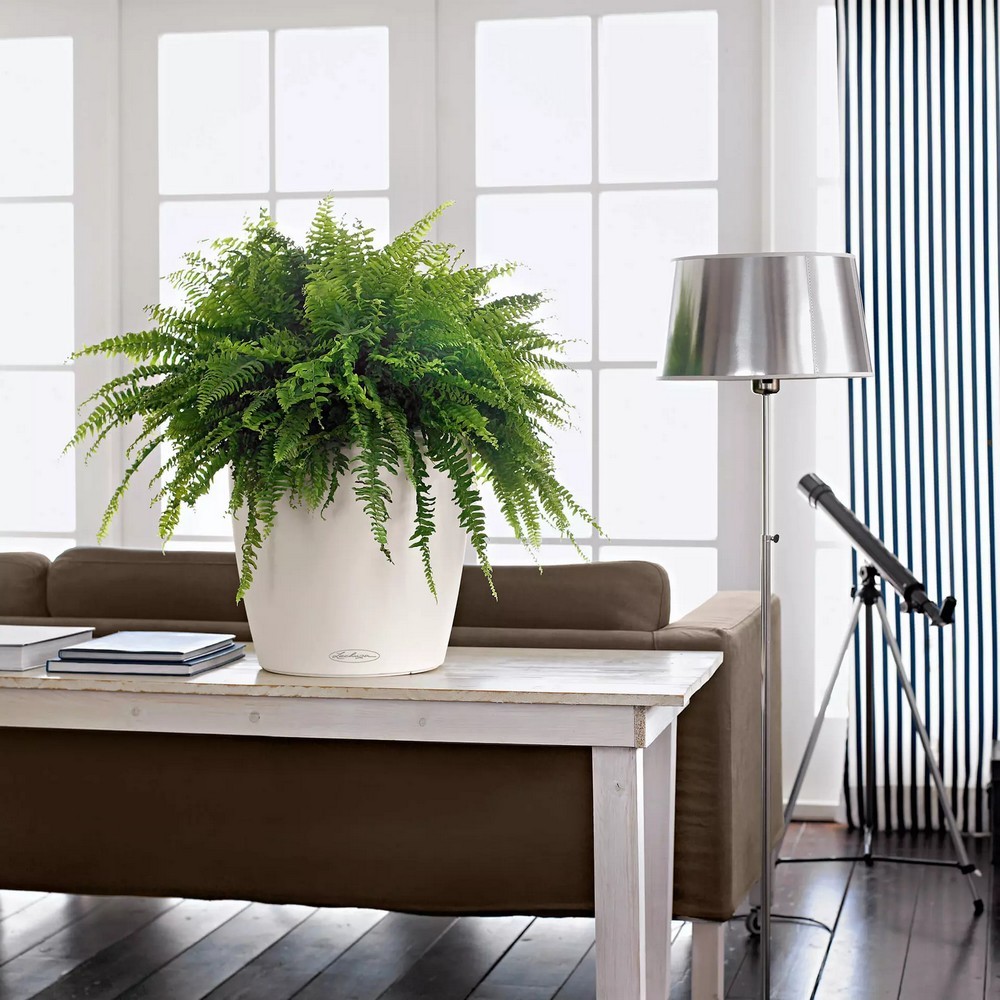 Розумний вазон Lechuza Classico Color 28 9 л пісочно-коричневий 13193