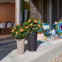 Вазон Lechuza CILINDRO Color 32 пісочно-коричневий 13956