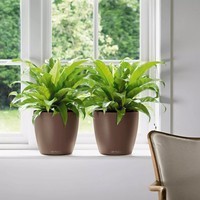 Вазон Lechuza Classico Color 35 пісочно-коричневий 13225