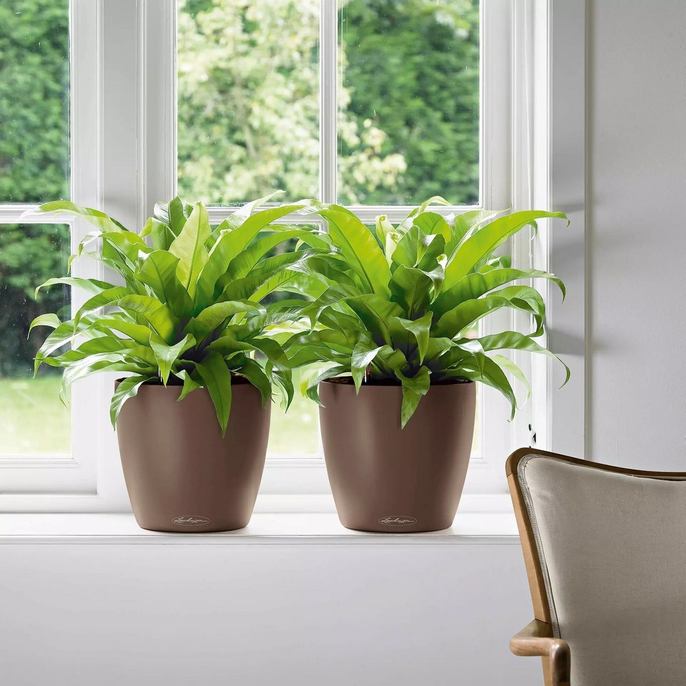 Розумний вазон Lechuza Classico Color 43 33 л пісочно-коричневий 13245