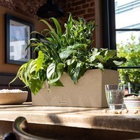 Вазон Lechuza Balconera Stone 80 кварцовий білий 15667