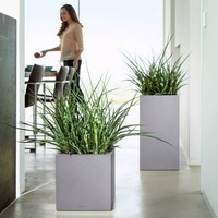 Розумний вазон Lechuza Canto Stone 30 high 12 л кварцовий білий 13607