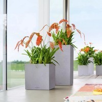 Розумний вазон Lechuza Canto Stone 30 high 12 л кварцовий білий 13607