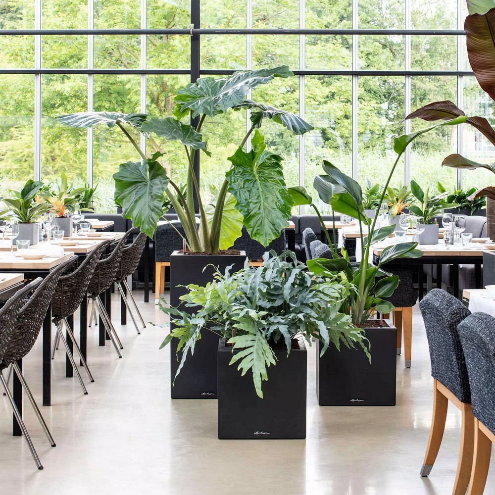 Розумний вазон Lechuza Canto Stone 30 low 12 л кварцовий білий 13707