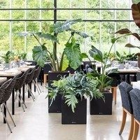 Розумний вазон Lechuza Canto Stone 30 low 12 л кварцовий білий 13707