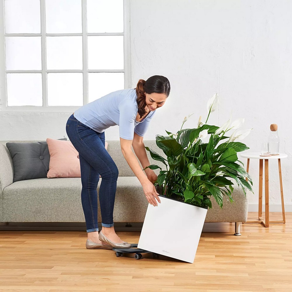 Розумний вазон Lechuza Canto Premium 40 low 29 л білий блискучий 13750