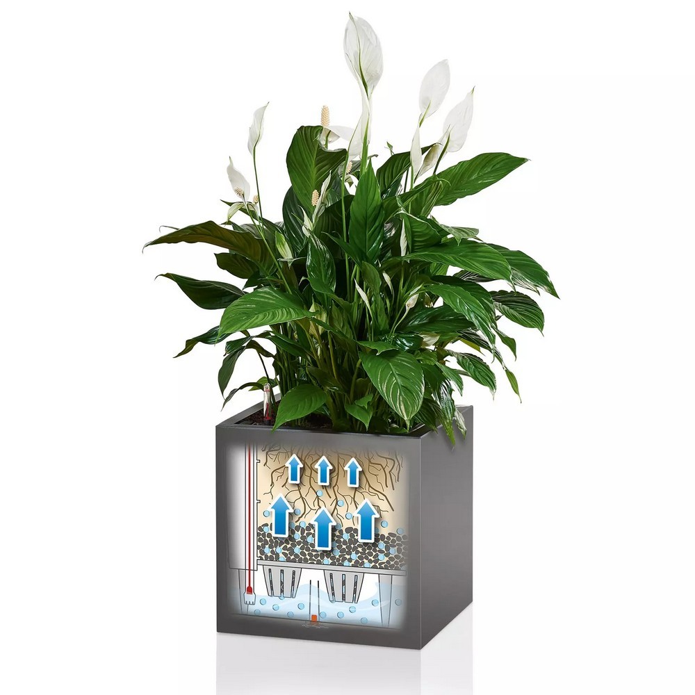 Розумний вазон Lechuza Canto Premium 40 low 29 л білий блискучий 13750