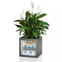 Розумний вазон Lechuza Canto Premium 40 low 29 л білий блискучий 13750