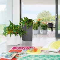 Розумний вазон Lechuza Canto Stone 40 high 29 л антрацит 13653