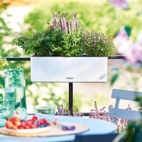 Розумний вазон Lechuza Cube Color Triple 40 пісочно-коричневий 13686