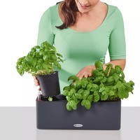 Розумний вазон Lechuza Cube Color Triple 40 пісочно-коричневий 13686