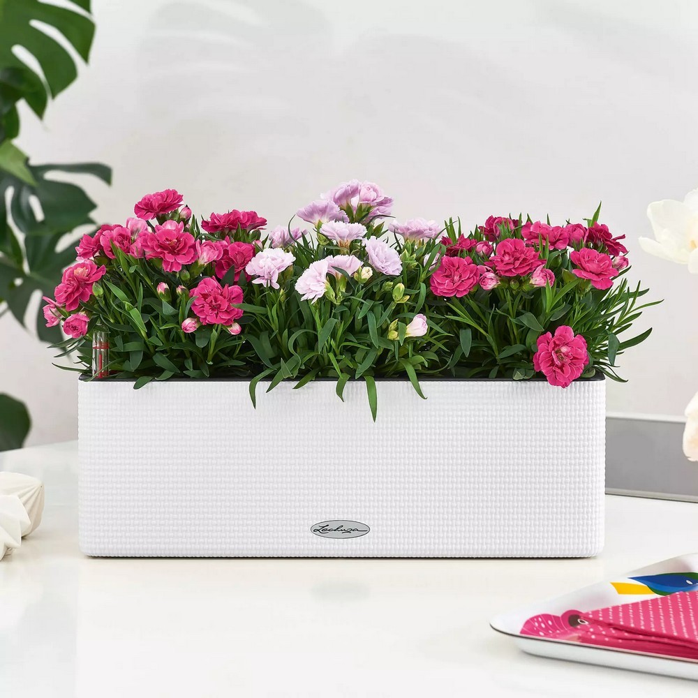 Розумний вазон Lechuza Cube Color Triple 40 пісочно-коричневий 13686