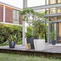 Розумний вазон Lechuza Classico Color 60 17 л білий 13330