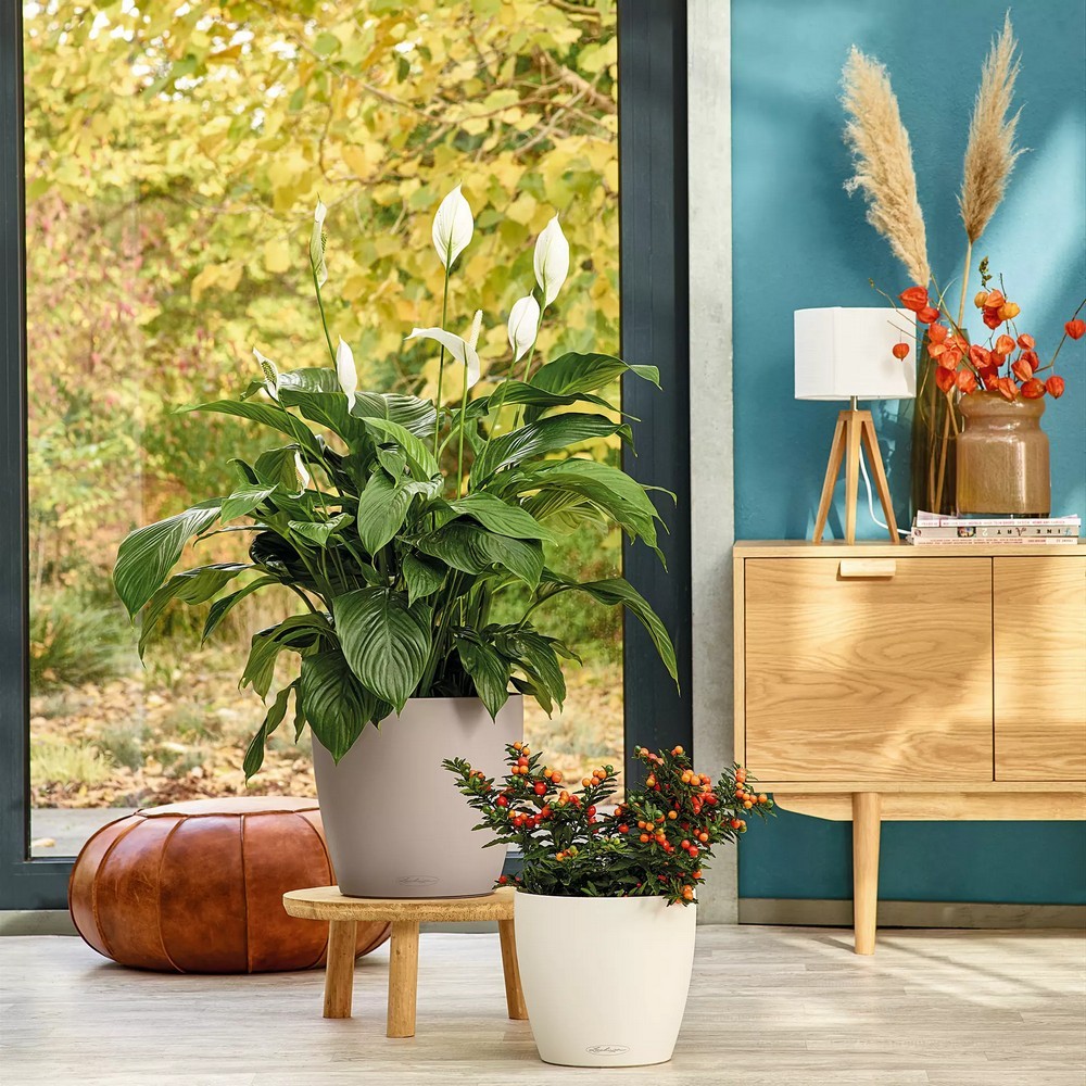 Розумний вазон Lechuza Classico Color 60 17 л сірий 13334