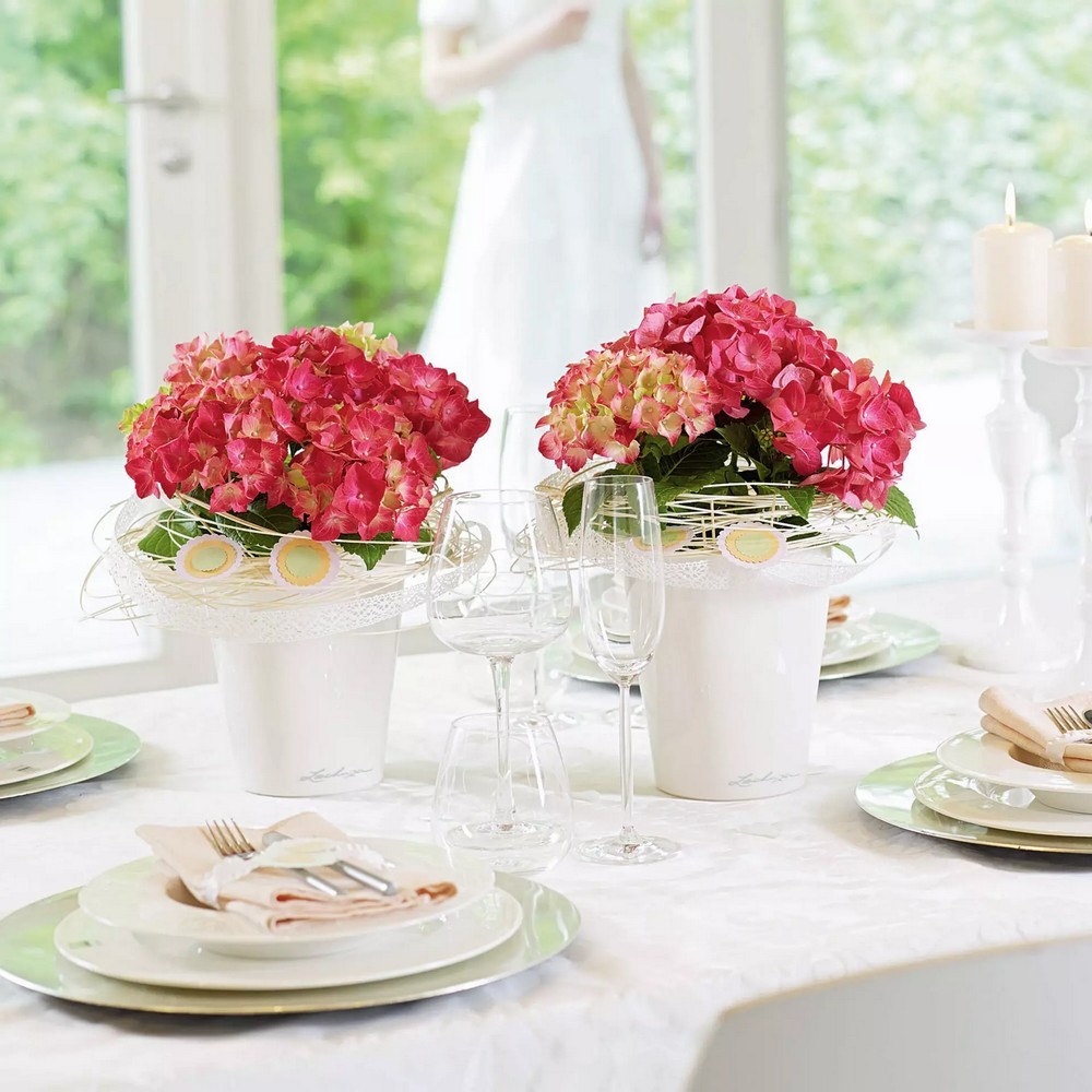 Розумний вазон Lechuza Дельтіні 0,4 л зелений 14935