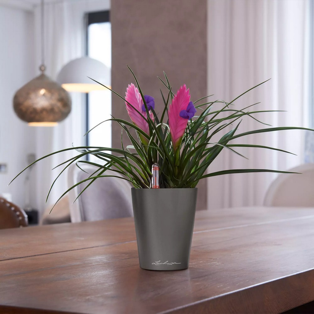 Розумний вазон Lechuza Дельтіні 0,4 л зелений 14935