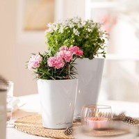 Розумний вазон Lechuza Дельтіні 0,4 л зелений 14935