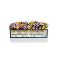 Фото Кашпо Lechuza Balconera Color 80 12 л 15706