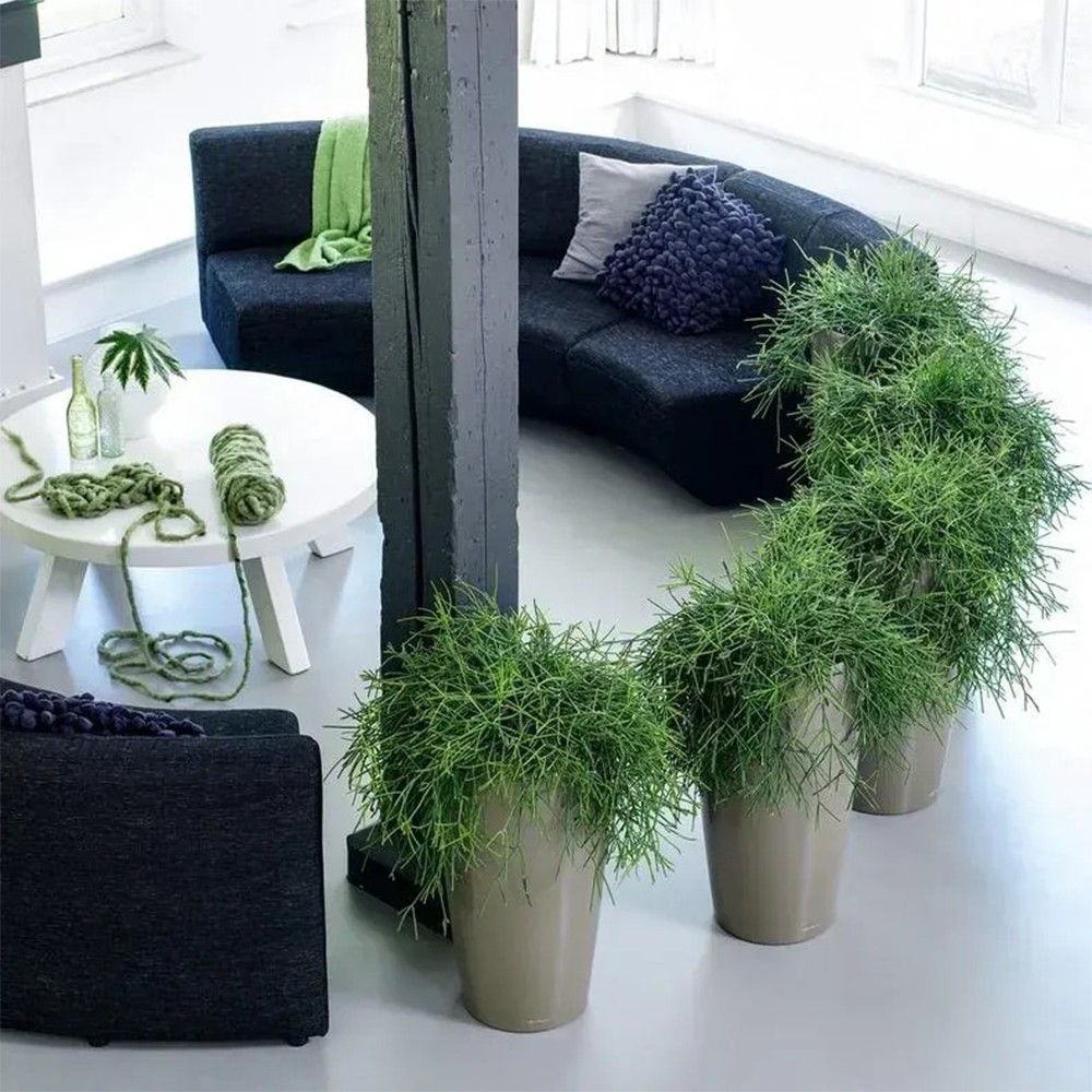 Вазон Lechuza Rondo 40 матовий антрацитовий 15742