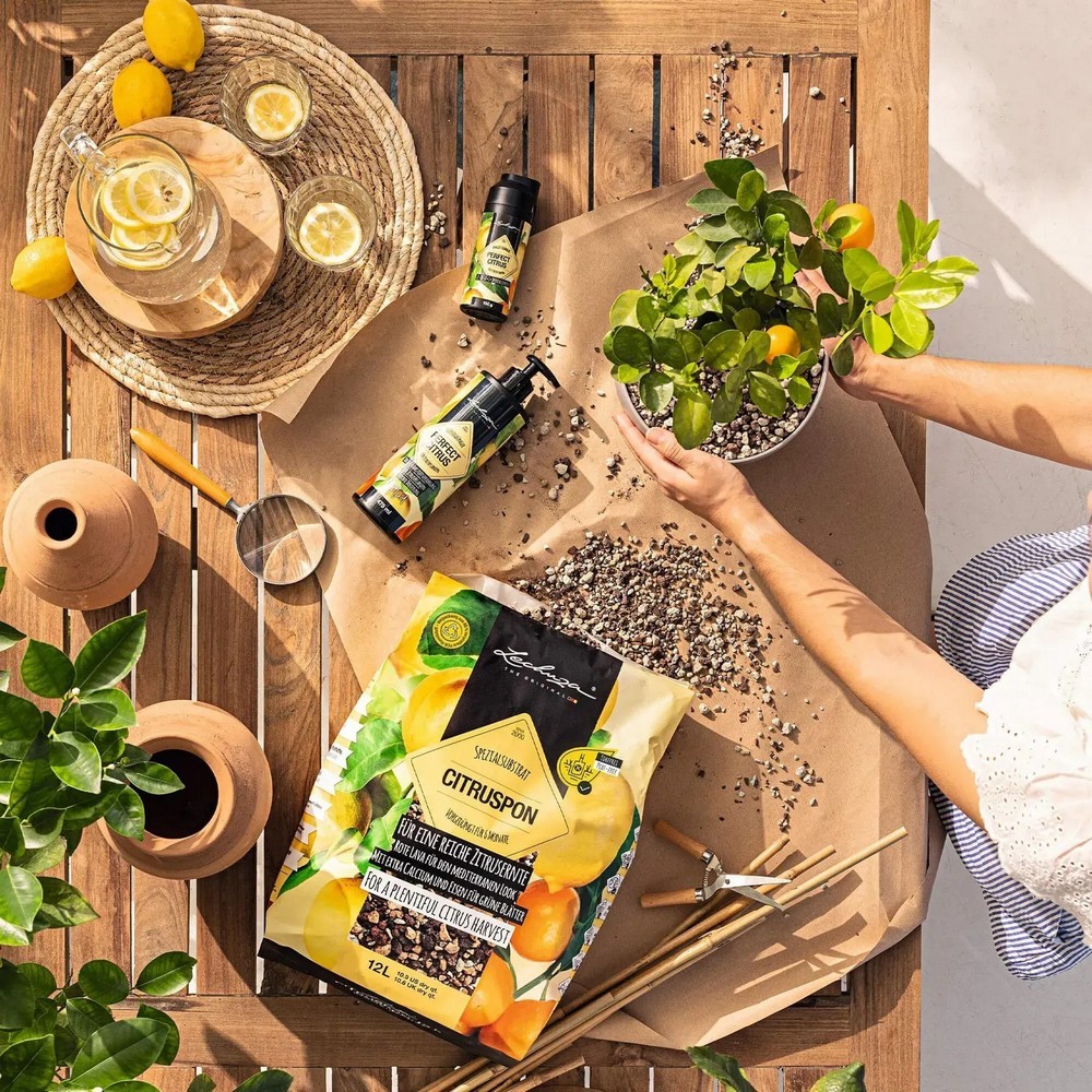 Субстрат Lechuza для цитрусових Citrus PON 12 л 19540