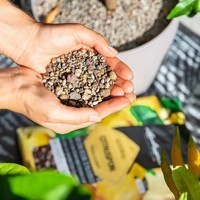 Субстрат Lechuza для цитрусових Citrus PON 12 л 19540