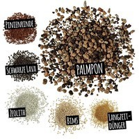 Фото Субстрат Lechuza для зелених та пальм Palm PON 12 л 19543