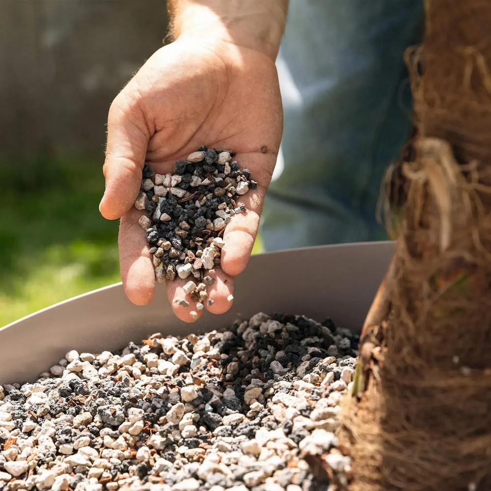 Субстрат Lechuza для зелених та пальм Palm PON 12 л 19543