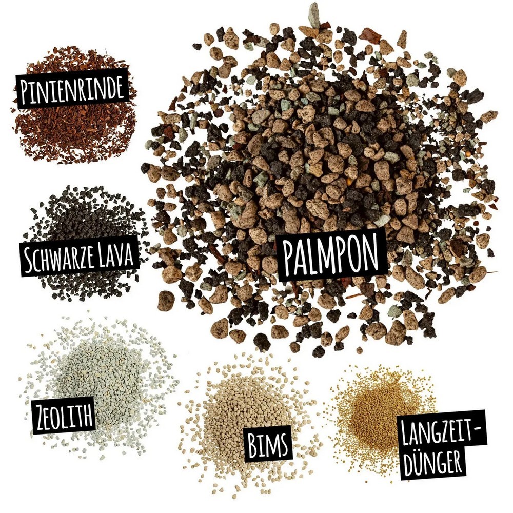 Субстрат Lechuza для зелених та пальм Palm PON 25 л 19544