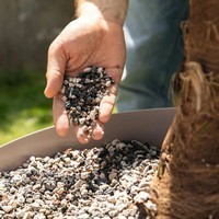 Субстрат Lechuza для зелених та пальм Palm PON 25 л 19544