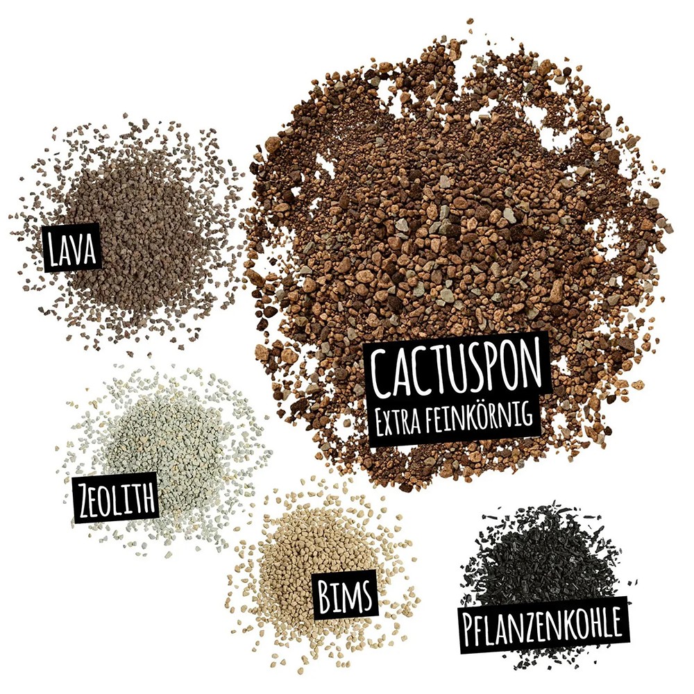 Субстрат Lechuza для кактусів Cactus PON 3 л 19545