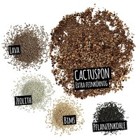 Фото Субстрат Lechuza для кактусів Cactus PON 3 л 19545