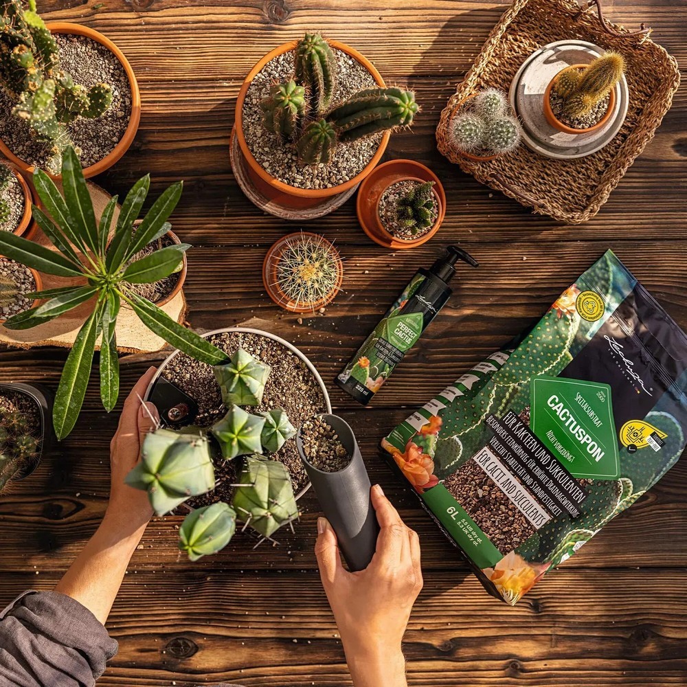 Субстрат Lechuza для кактусів Cactus PON 3 л 19545
