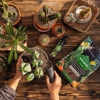 Фото Субстрат Lechuza для кактусів Cactus PON 6 л 19546