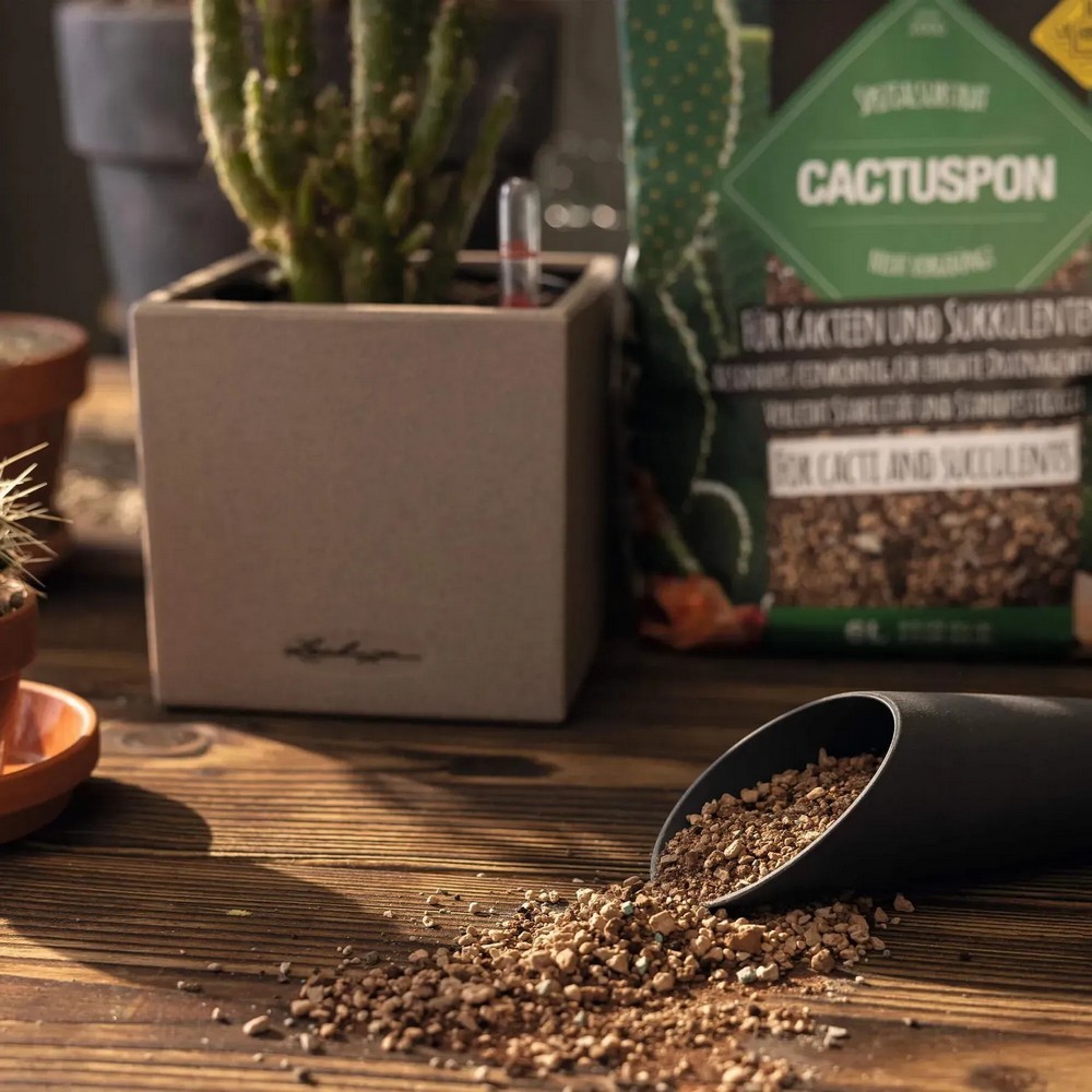 Субстрат Lechuza для кактусів Cactus PON 6 л 19546