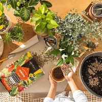 Фото Субстрат Lechuza багатокомпонентний MONO PON 12 л 19550