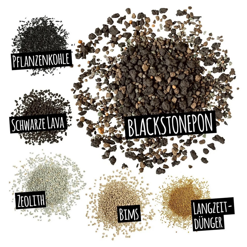 Субстрат Lechuza з біовугіллям BLACKSTONE PON 6 л 19555