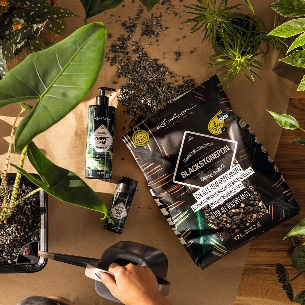 Субстрат Lechuza з біовугіллям BLACKSTONE PON 6 л 19555