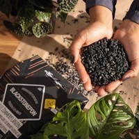 Субстрат Lechuza з біовугіллям BLACKSTONE PON 12 л 19556