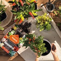 Фото Субстрат Lechuza для овочів VEGGIE-PON 12 л 19592