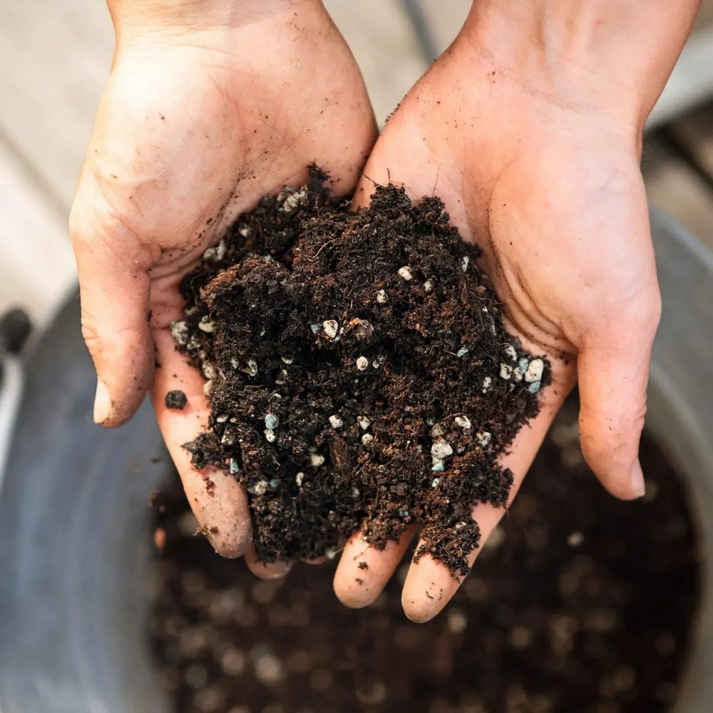 Субстрат Lechuza для овочів VEGGIE-PON 12 л 19592